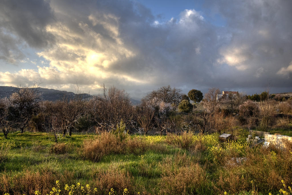 Vila Lania Royal Oak House By Trulycyprus Exteriér fotografie